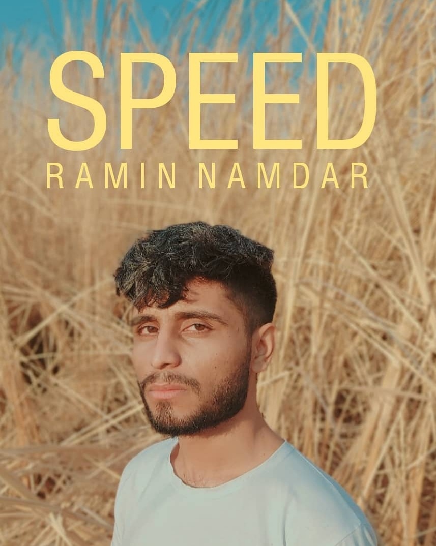 Early life Ramin Namdar